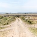 TZA SHI SerengetiNP 2016DEC25 MbalagetiRiver 001 : 2016, 2016 - African Adventures, Africa, Date, December, Eastern, Mbalageti River, Month, Places, Serengeti National Park, Shinyanga, Tanzania, Trips, Year